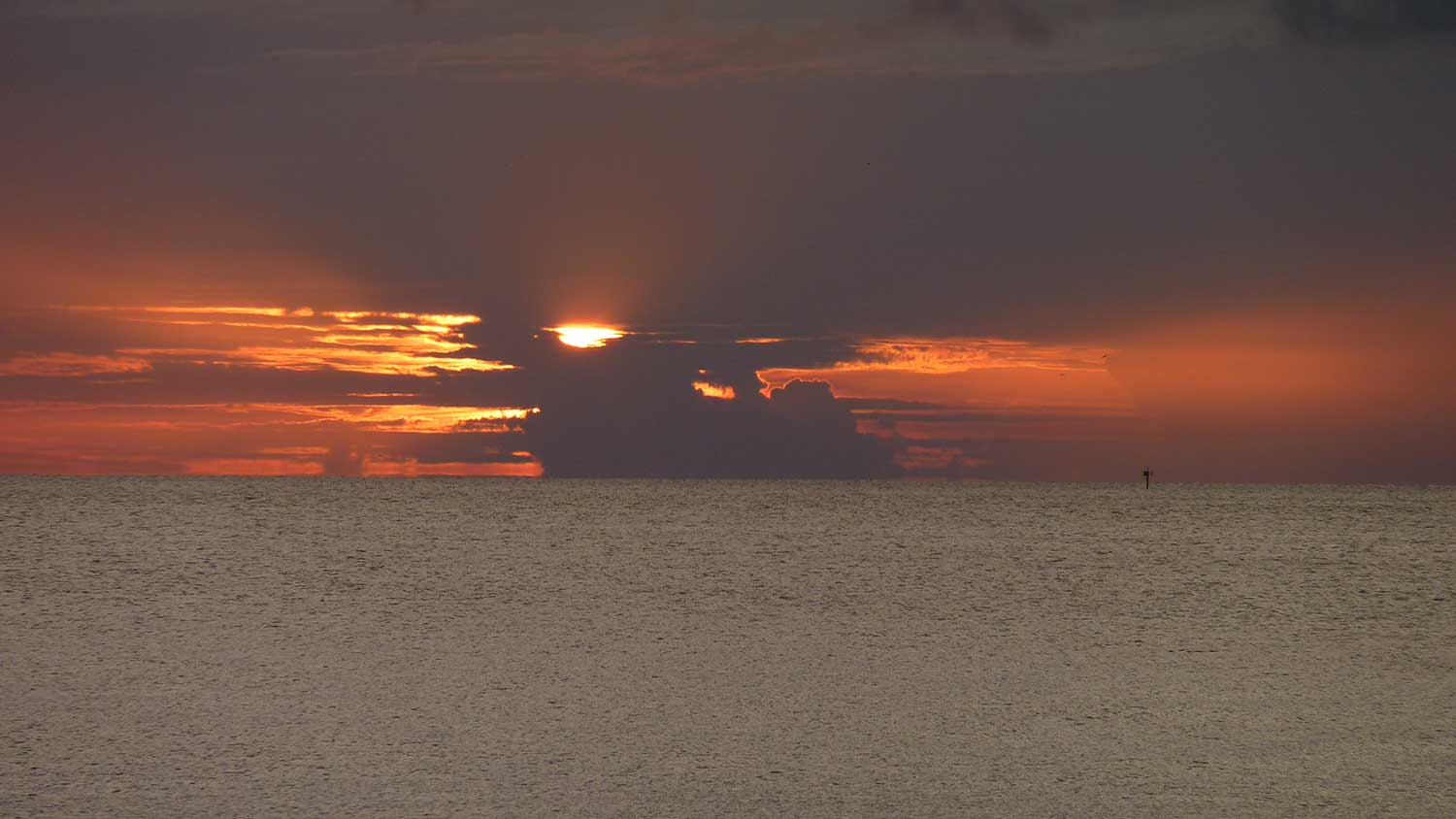 Florida-Gulf-Coast-Sunset