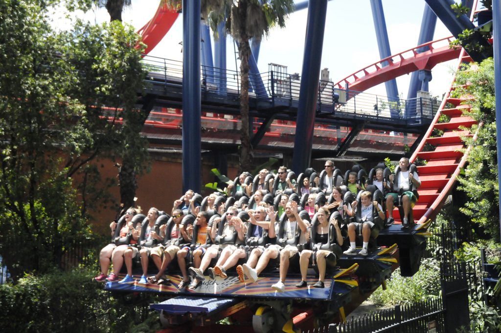 Roller Coaster at Busch Gardens Tampa